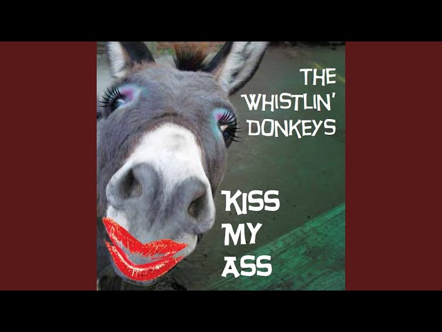 The Whistlin Donkeys - Hills of Donegal
