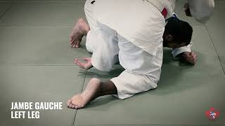 GOKYO - Clip 098 : Ude-Hishigi-Ashi-Gatame