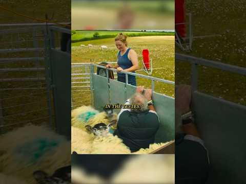 Sheep Showdown…😂🐑 #farming #clarksonsfarm #sheep #shorts