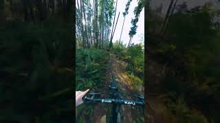 Hyper Speed Berms!!