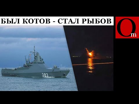 Черный день Черноморского флота рф. Котов стал рыбов и крабов
