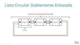Estructura de Datos - Listas Circulares Doblemente Enlazadas, Teoría