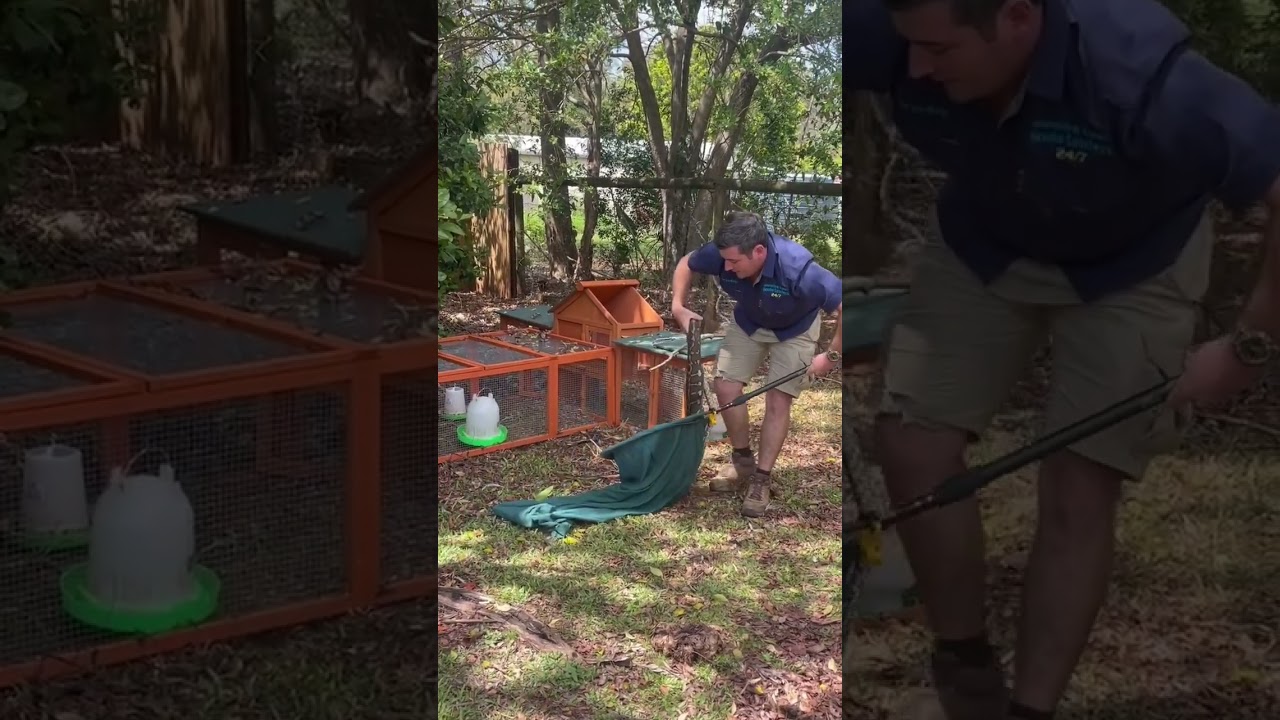 -brandon-troy-gifford-headed-out-to-a-ch_