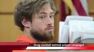 Westview Elementary School rampage suspect doesn't remember it
