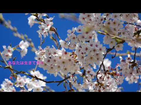あなたはあなたのままでいい/今井美樹 cover🎙mabaru