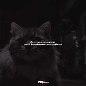 STORY WA 30 DETIK | STATUS WA KEKINIAN | DJ HAPPIER I HOPE YOU'RE HAPPY VIRAL DI TIKTOK