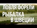 РЫБАЛКА В ШВЕЦИИ НА ФОРЕЛЬ