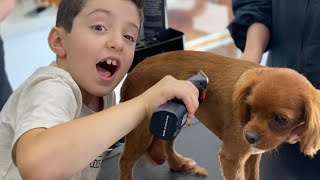 Dog Grooming for Kids | Pet Grooming for Kids | Learn how your dog is groomed at the Salon!