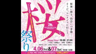 2018 MAHARAJA 桜祭り