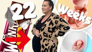22 Week Plus Size Pregnancy Update