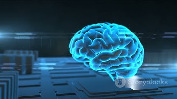 What is Machine Learning: Unlocking the Power of AI