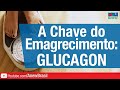 A Chave Do Emagrecimento: Glucagon