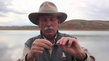 Fly and a Bubble Fishing Technique