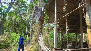 The owner was shocked at the transformation of a garden that had been cleaned and revived (Part2)