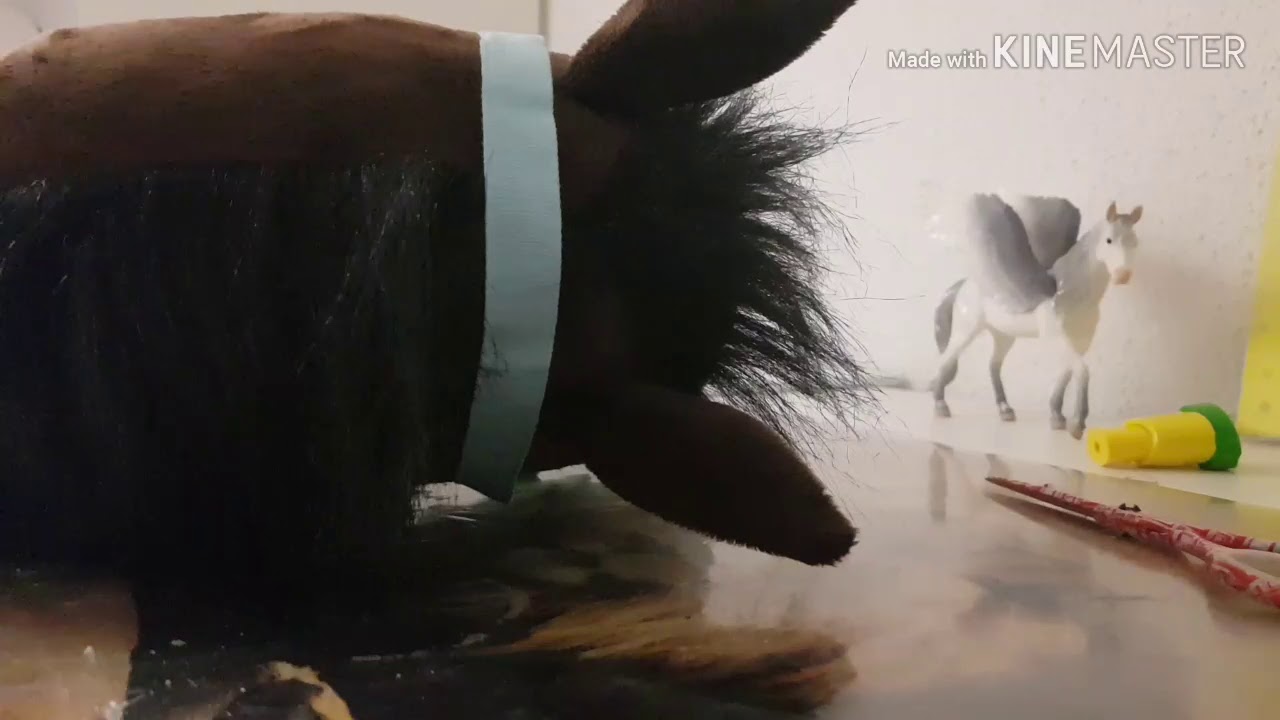 [Hobby horse]DIY Halfter und Strick selber machen. YouTube