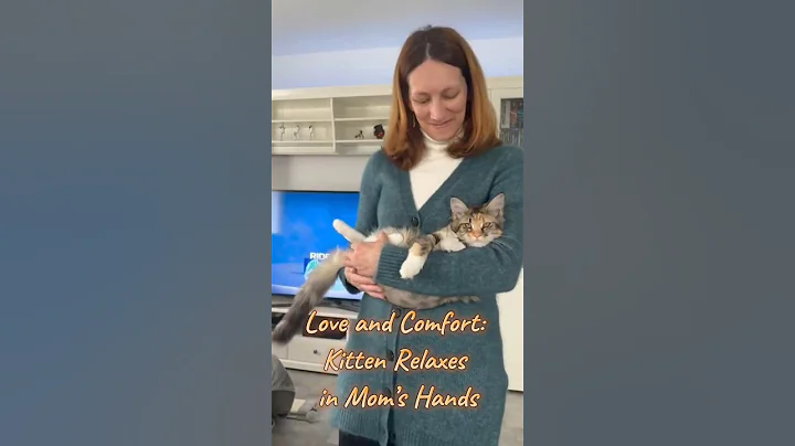 Watch the video about Love and Comfort