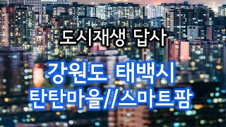 도시재생 답사#1 - 강원도 태백시 탄탄마을, 스마트팜