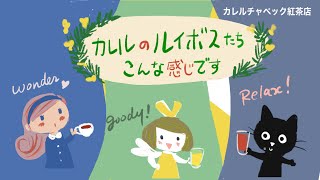 【2022年版】カレルチャペック紅茶店こだわりルイボスティー3種を徹底解説