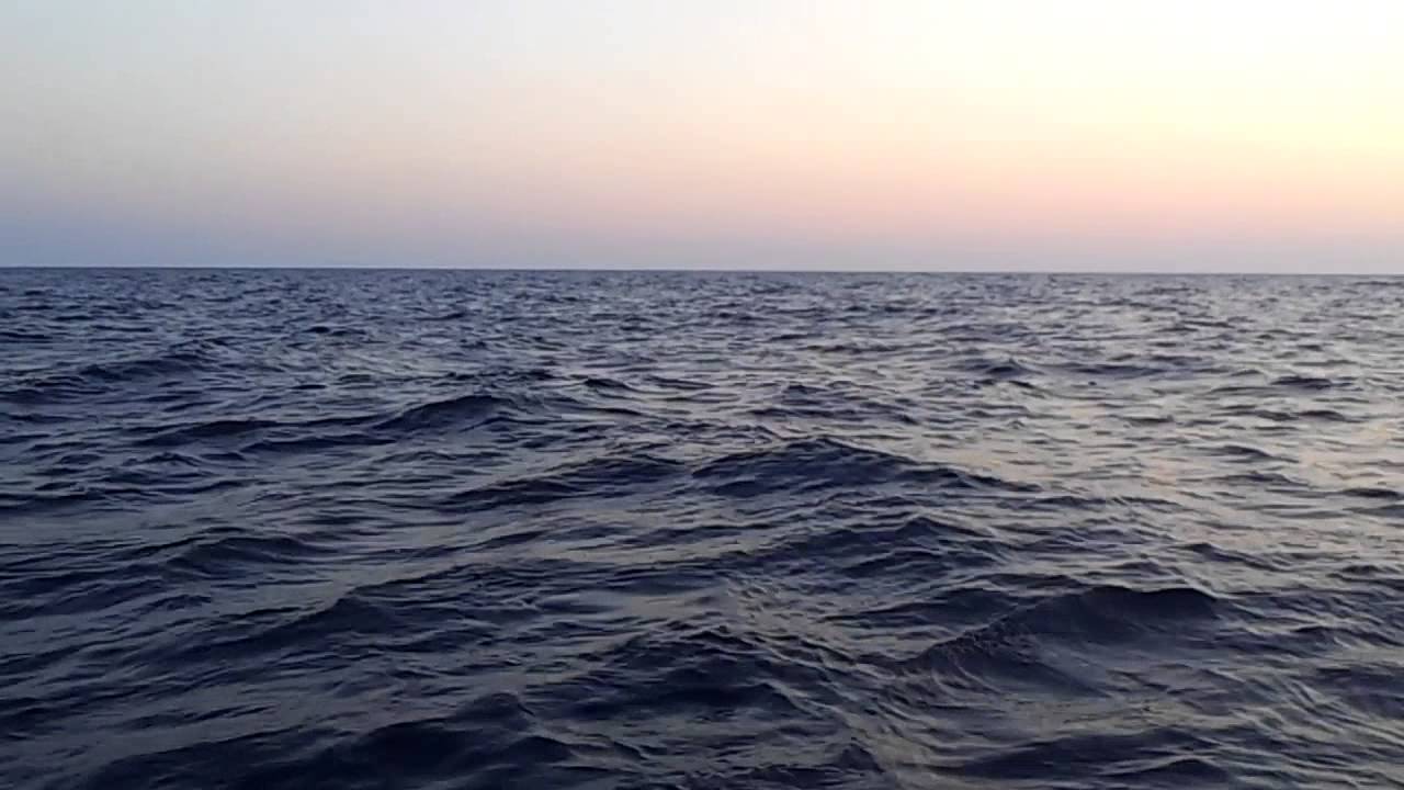 Delfini al tramonto