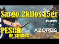 Pesca de sargos jos silva sargo 2kilos 015g com a rabeca na ilha de so miguel aores