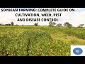 SOYBEAN FARMING PART 1: Land Preparation, Planting, Weed, Pest and Disease Control