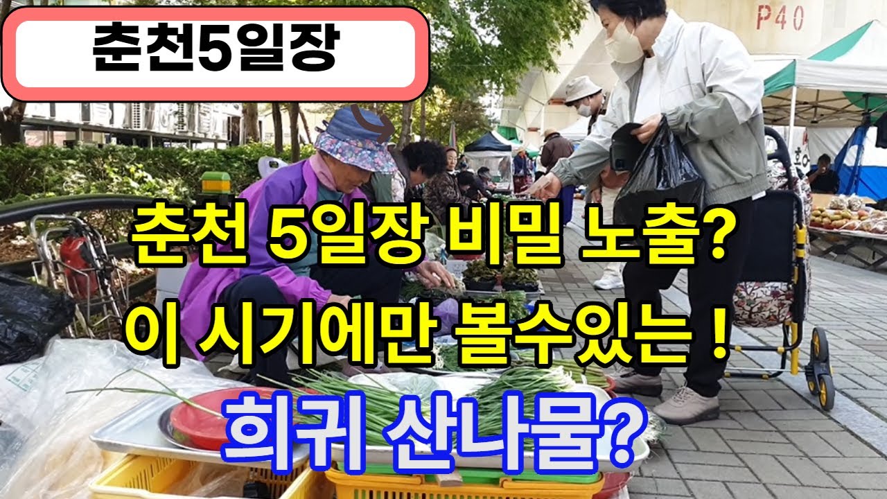 1편! 춘천 5일장 비밀 노출? 이 시기에만 볼수있는! 희귀 산나물?