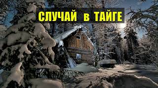 Был в ТАЙГЕ такой СЛУЧАЙ ИСТОРИИ из ЖИЗНИ СУДЬБА ДОМ в ЛЕСУ ОХОТА ЛЕС ДИЧЬ ПТИЦА ЛЕСНЫЕ СЕРИАЛ