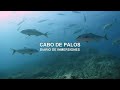 Cabo de Palos: Islas Hormigas