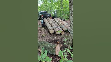fastest way to unload logs from trailer