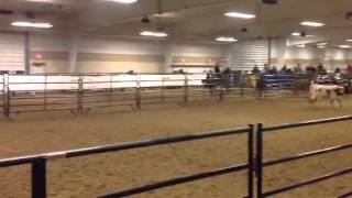 02/18 NCC Speed Penning 8 Final Run