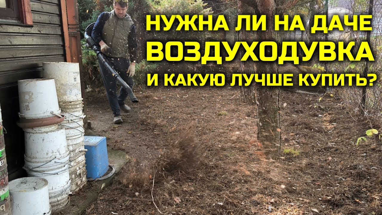 Нужна ли на даче ВОЗДУХОДУВКА и какую воздуходувку  - YouTube