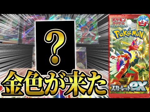 【レア】ポケモンカード スカーレットex 韓国語版 新品未開封 ポケモンカードゲーム スカーレットex BOX シュリンク付