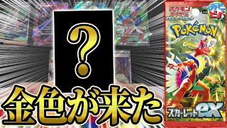 タ*コ様 【未剥がし】ポケモン ぎんピカ ずかん カード 第2弾 タ*コ様 【未剥がし】ポケモン ぎんピカ ずかん カード 第2弾