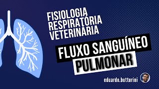Fluxo sanguíneo pulmonar (aula 3) - Fisiologia respiratória