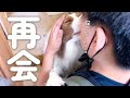 【感動】林間学校から帰ってきたお兄ちゃんと再会したボーダーコリー【寂しい夜が切ない】
