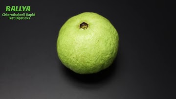 BALLYA Chlorothalonil Test - Detection of Chlorothalonil in Guava - BALLYA
