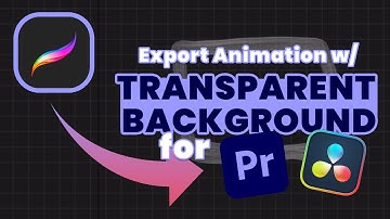 PROCREATE | Export Animation with Transparent Background for Da Vinci and Premiere Pro