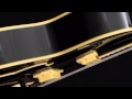 Steve's New D'Angelico