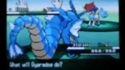 Pokemon Black & White (USA) - Wild Pokemon Modifier Guide (Action Replay Code)