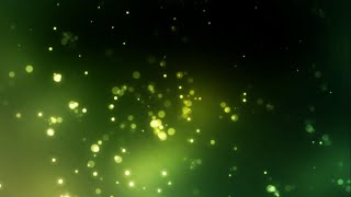 FREE Video Background Loops-  Amazing Swamp