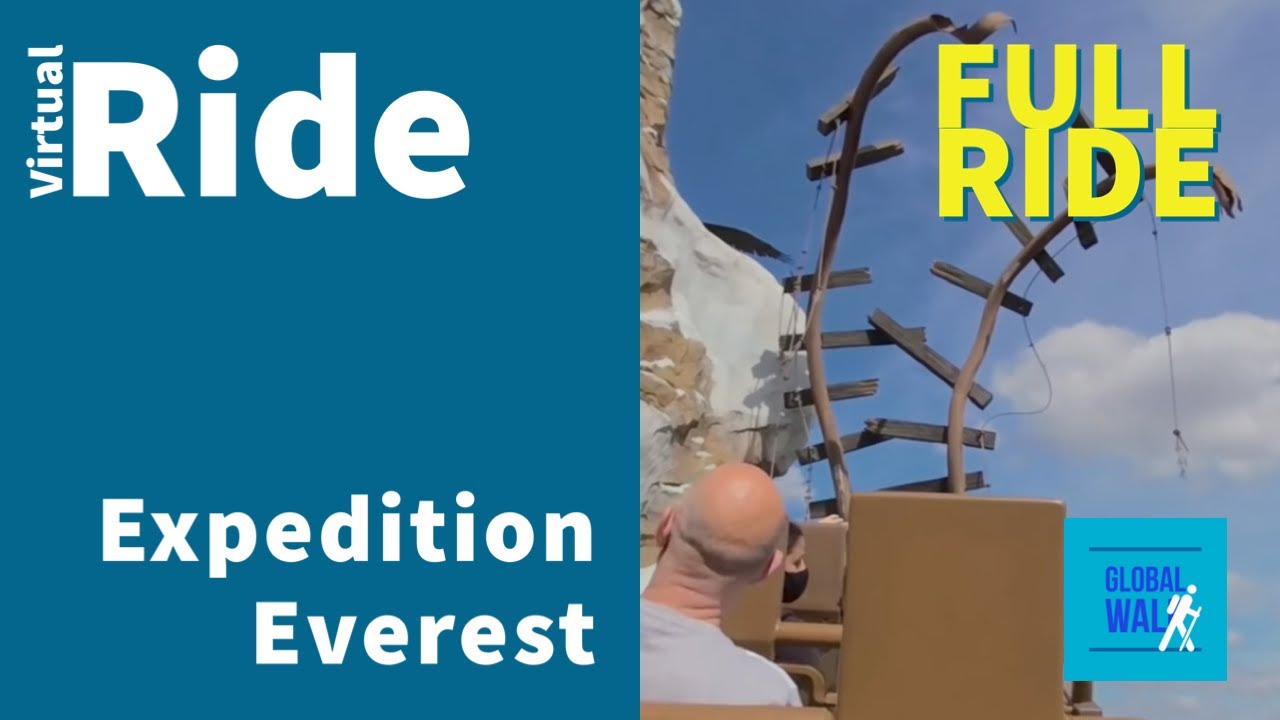 Ride the Expedition Everest roller coaster at Walt Disney World's Animal Kingdom