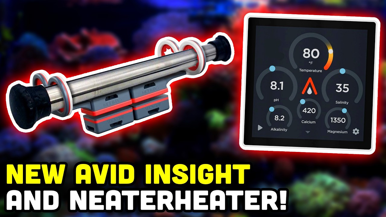 Avid Aqua's NEW InSight Control Display and NeaterHeater!