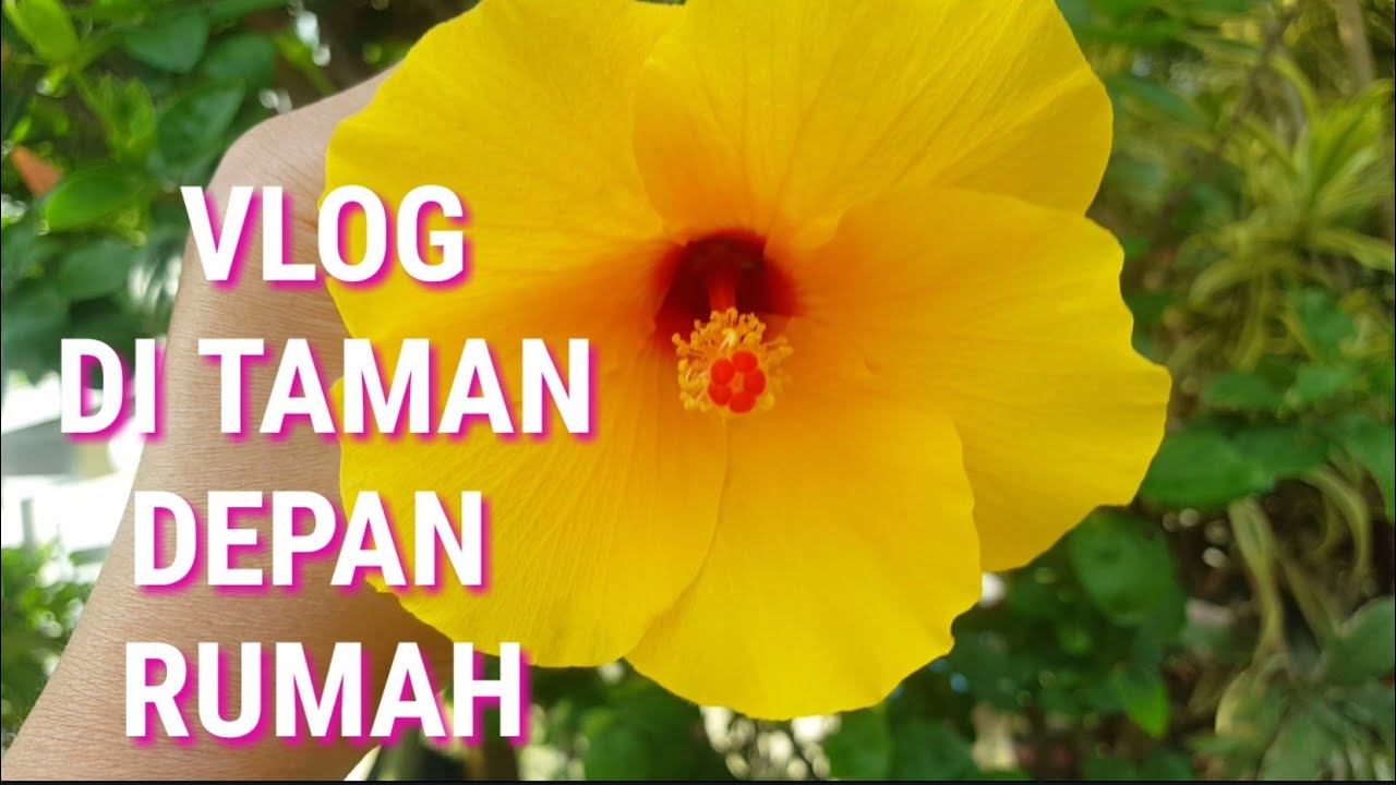 VLOG DI  TAMAN  DEPAN  RUMAH  YouTube