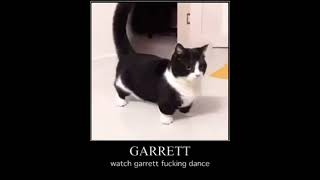 Garrett - Cat Dance