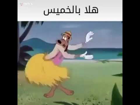 حالات واتس مضحكة على اغنية هلا بالخميس
