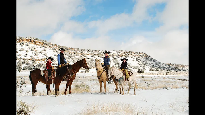Ep 26: Elisabeth Erickson-Noe, Independent Cattle ...