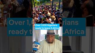 Over 1,000 Nigerians want to leave South Africa