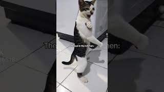 SOMETHING IS WRONG