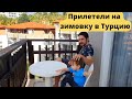 Vlog #1 Зимовка в Турции. заселились в отель  justiniano deluxe resort 5* Окуджалар. Семейный влог