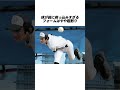 超無名公立校のショットガンサウスポーに関する雑学#野球 #高校野球#甲子園